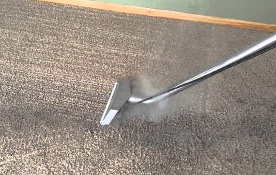 carpet steam cleaning services in alderley